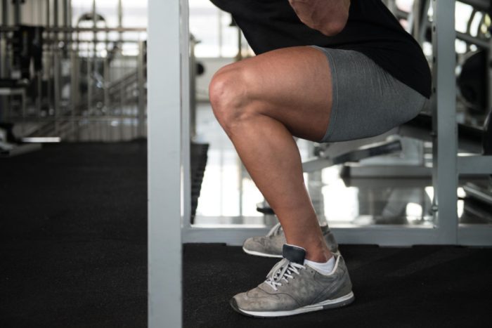 músculos que compõem a musculatura da coxa